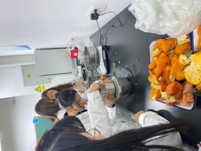 化海畅游社员提取橘皮精油.jpg