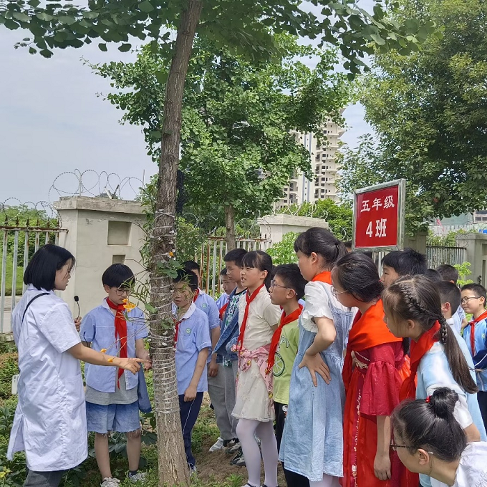 图片24.png