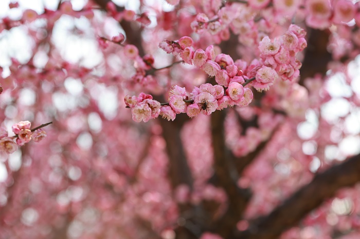 f0dc6cb74960d417a2c0ca73abcb0c1.jpg